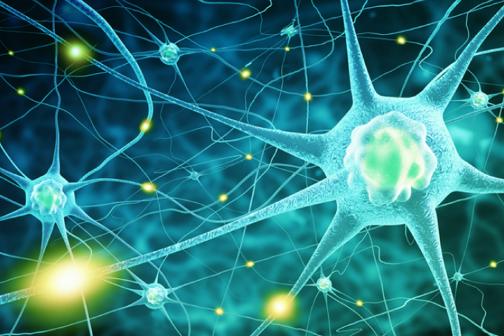 Neural Network