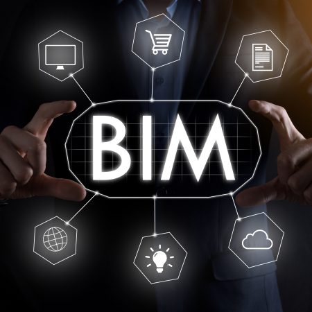 BIM